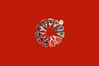 海林回收红酒